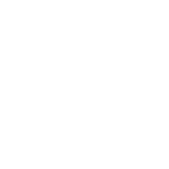 Eminent Soft Technologies logo