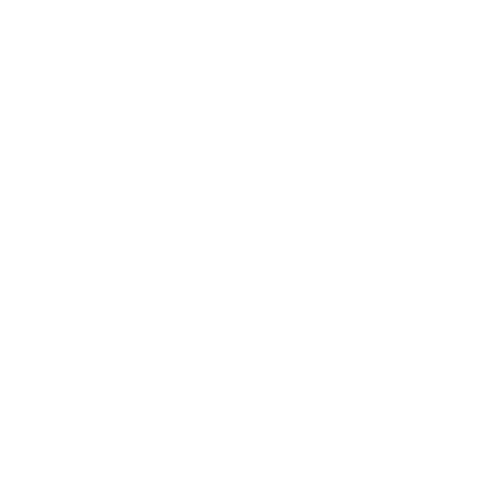 Net Conversion logo