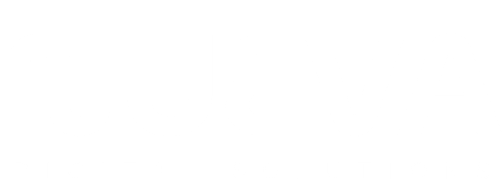 Nueva Digital Solutions logo